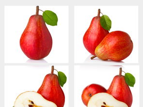 水果集合大全 從高清圖片到設計模板的完整指南